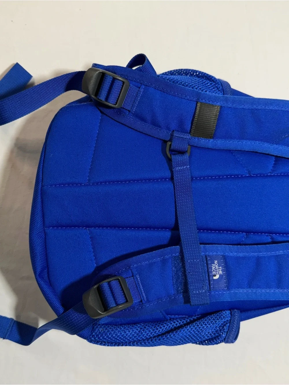 The North Face Kids Royal Blue Sprout Backpack